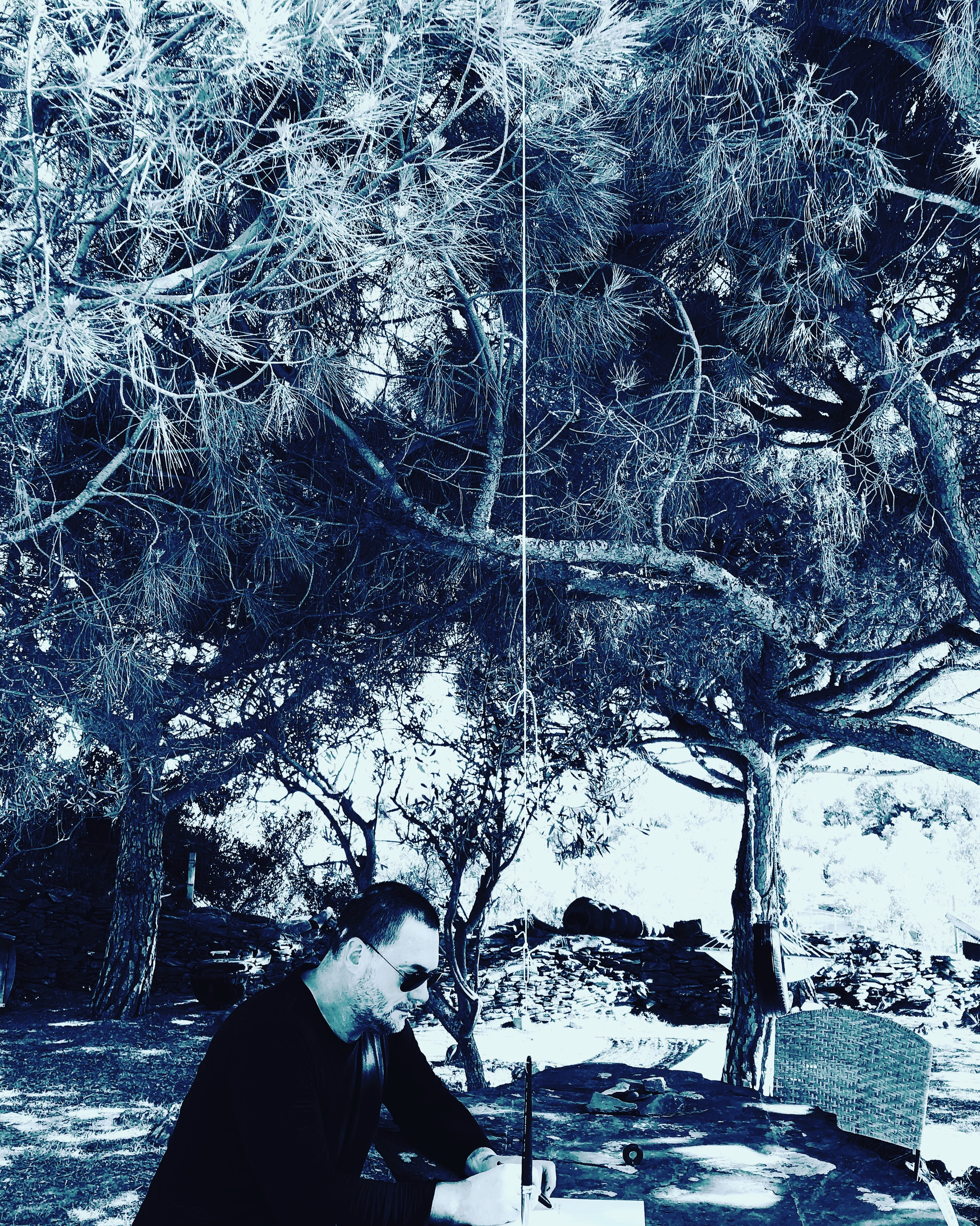 Dispositif de captation des mouvements d’un arbre